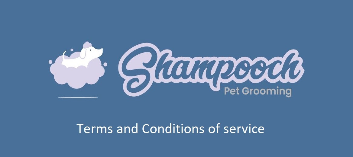 Logo Ts&Cs-min